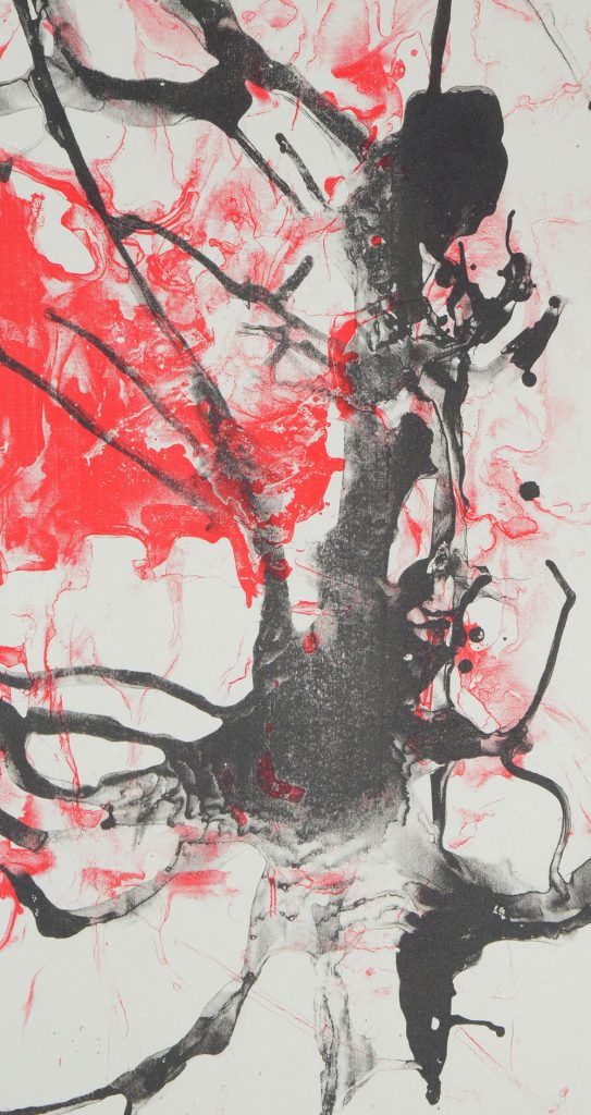 Jane Elizabeth Bennett, Intermezzo, Close Up, Screen Print, 2018, Outcome Exhibition